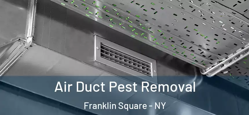  Air Duct Pest Removal Franklin Square - NY