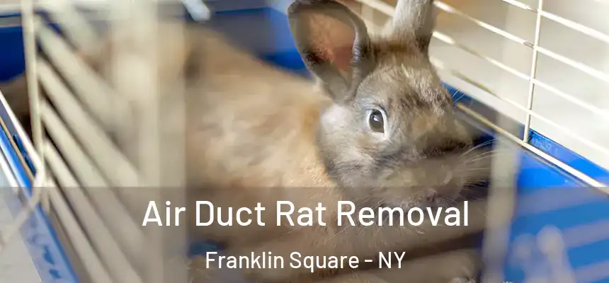  Air Duct Rat Removal Franklin Square - NY