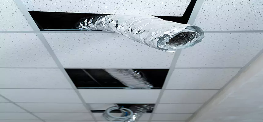 Our Air Duct Pet Hair Removal Services in Franklin Square, NY