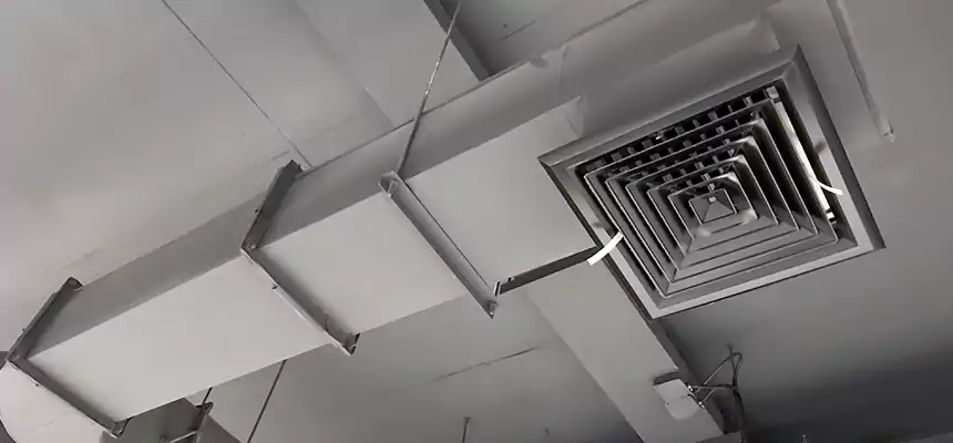 Our Pest Removal From Ducts Services in Franklin Square, NY