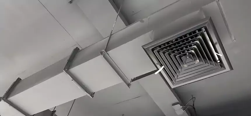 Our Rodent Droppings In Vents Services in Franklin Square, NY