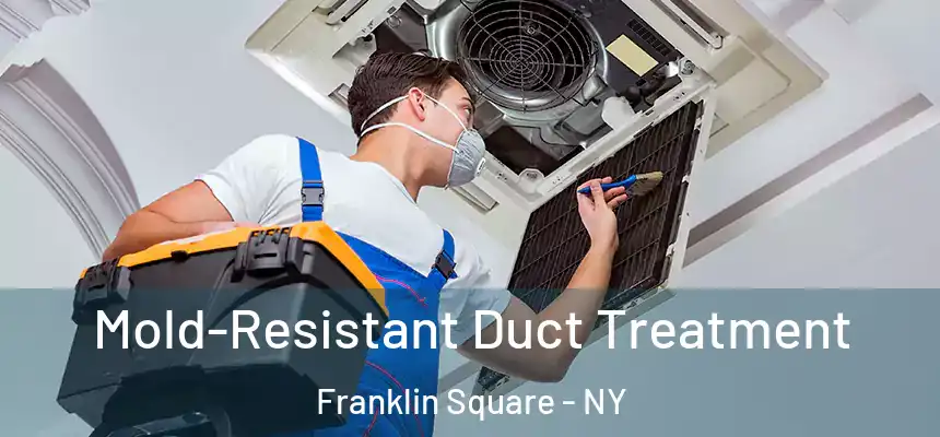  Mold-Resistant Duct Treatment Franklin Square - NY