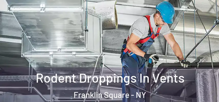  Rodent Droppings In Vents Franklin Square - NY