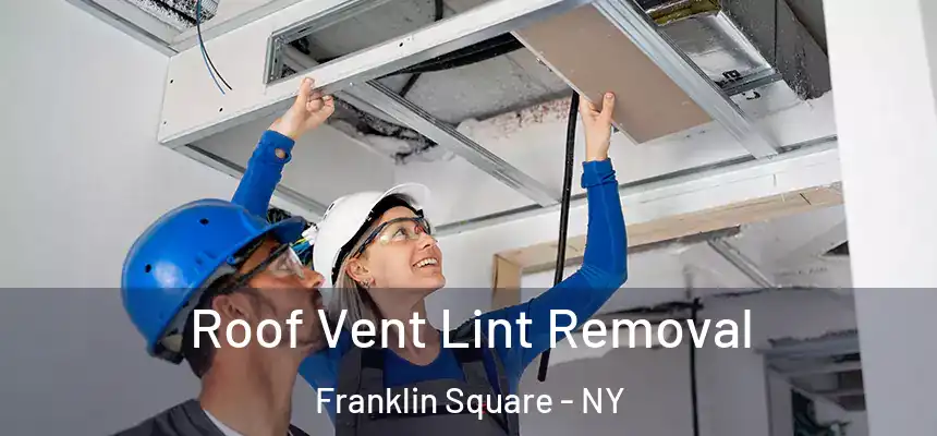  Roof Vent Lint Removal Franklin Square - NY