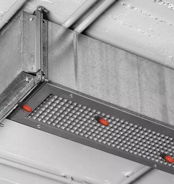 About Air Duct Cockroach Removal in Franklin Square, NY