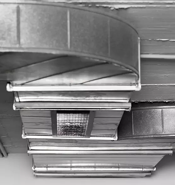 Professional Air Duct Pest Removal in Franklin Square, NY