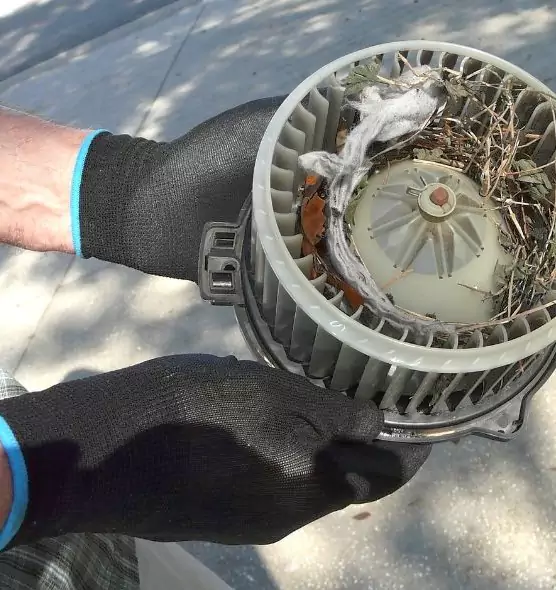 About Air Duct Rat Removal in Franklin Square, NY