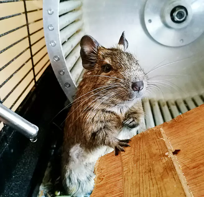 Why Homeowners & Businesses Trust Us Franklin Square, NY?